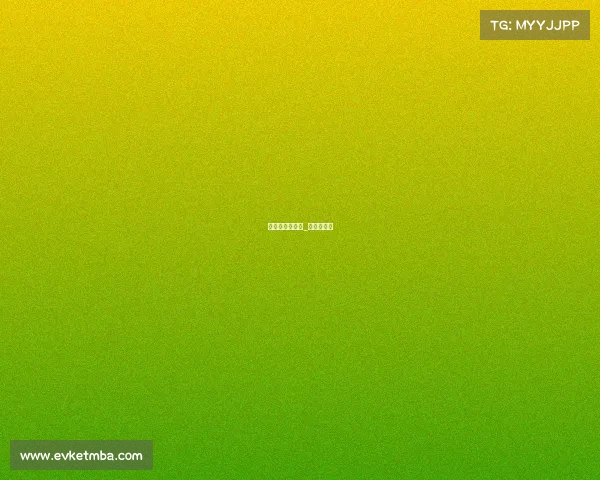 小飞侠罗西赛事_小飞侠是谁